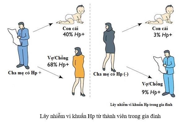 Nguyên nhân lây nhiễm vi khuẩn HP và cách phòng tránh - Bệnh viện đa khoa tỉnh Thanh Hoá